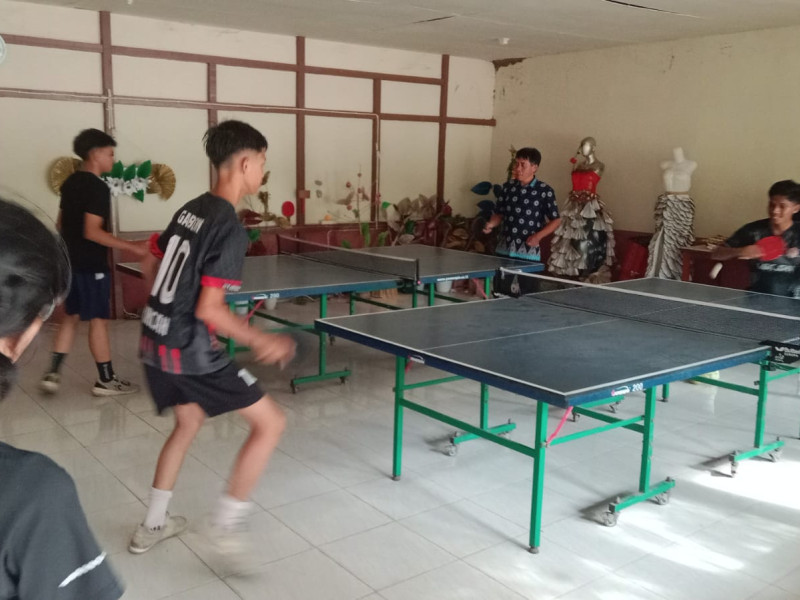 TENIS MEJA